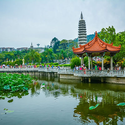 The Best Time to See Butterflies at Wanshi Garden
