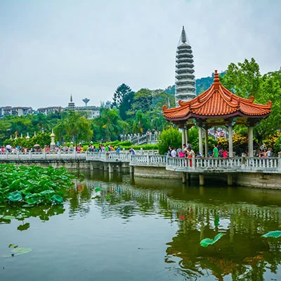 The Best Time to See Butterflies at Wanshi Garden